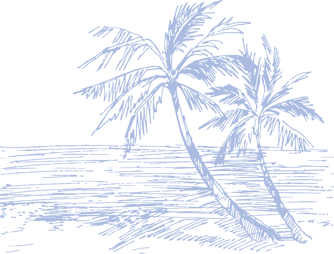 palm-illustration