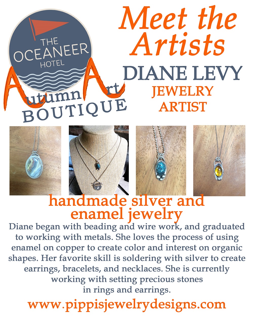 Diane Levy Artist PageJPG